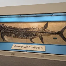 Sternberg Museum of Natural History - Hays