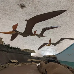 Sternberg Museum of Natural History - Hays