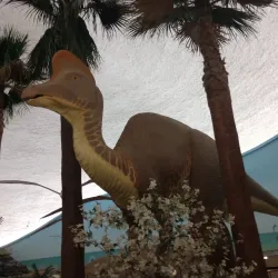 Sternberg Museum of Natural History - Hays