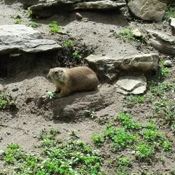 Carey Park - Hutchinson