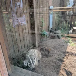 Carey Park - Hutchinson