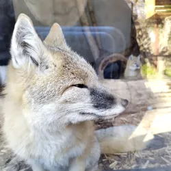 Carey Park - Hutchinson