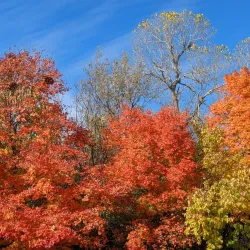 Dillon Nature Center - Hutchinson