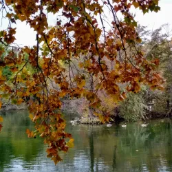 Dillon Nature Center - Hutchinson