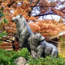 Dillon Nature Center - Hutchinson