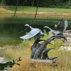 Dillon Nature Center - Hutchinson