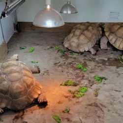 Hutchinson Zoo - Hutchinson