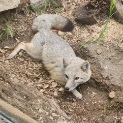 Hutchinson Zoo - Hutchinson