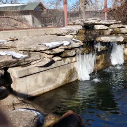 Hutchinson Zoo - Hutchinson