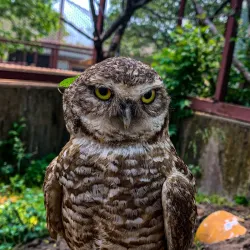 Hutchinson Zoo - Hutchinson