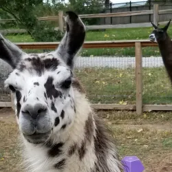 Hutchinson Zoo - Hutchinson