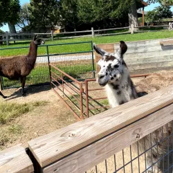 Hutchinson Zoo - Hutchinson