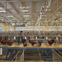 Kansas State Fairgrounds - Hutchinson