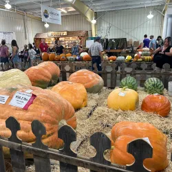 Kansas State Fairgrounds - Hutchinson