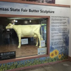 Kansas State Fairgrounds - Hutchinson