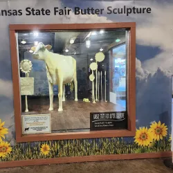 Kansas State Fairgrounds - Hutchinson