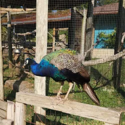 Riverside Park - Independence