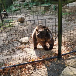 Riverside Park - Independence