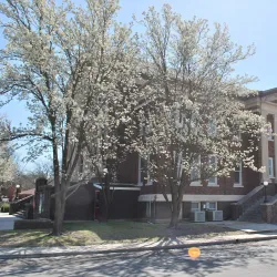 Iola Farmers Market - Iola