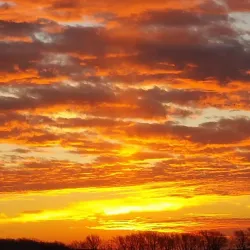 Iola Farmers Market - Iola