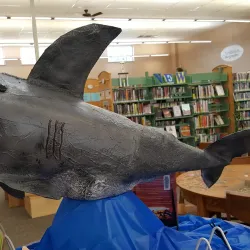 Iola Public Library - Iola