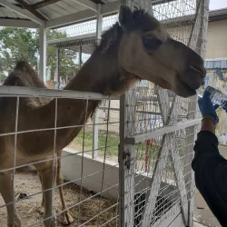 Riverside Park - Iola