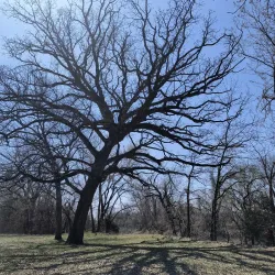 Riverside Park - Iola