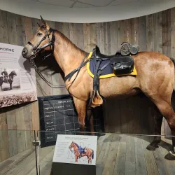 Fort Riley Cavalry Museum - Junction City