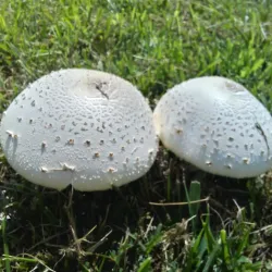 Republican River Trail - Junction City