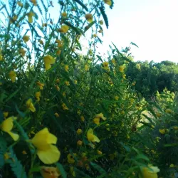 Republican River Trail - Junction City