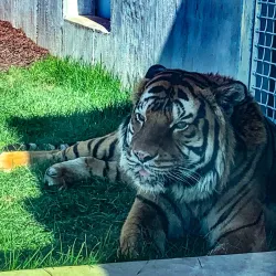 Sunset Zoo - Junction City