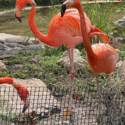 Sunset Zoo - Junction City