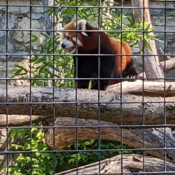 Sunset Zoo - Junction City