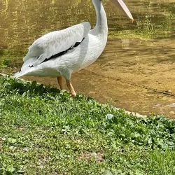 Sunset Zoo - Junction City