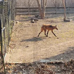 Sunset Zoo - Junction City