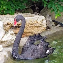 Sunset Zoo - Junction City