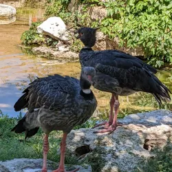 Sunset Zoo - Junction City