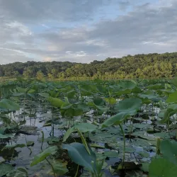 Wyandotte County Lake Park - Kansas City