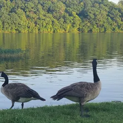 Wyandotte County Lake Park - Kansas City
