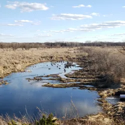 Baker Wetlands - Lawrence