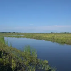 Baker Wetlands - Lawrence
