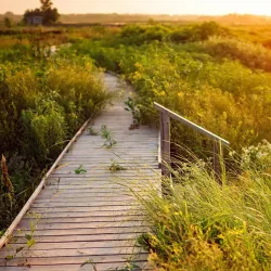 Baker Wetlands - Lawrence
