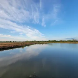 Baker Wetlands - Lawrence