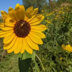 Baker Wetlands - Lawrence