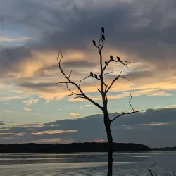 Clinton State Park - Lawrence