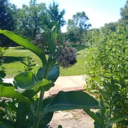 South Park - Lawrence