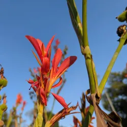 South Park - Lawrence