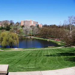 University of Kansas - Lawrence