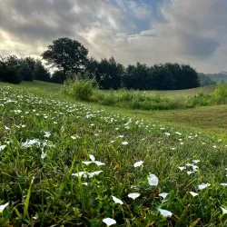 Ironwoods Park Nature Center - Leawood