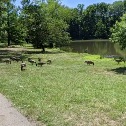 Leawood City Park - Leawood
